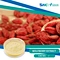 Wolfberry juice extract is a safe and natural dietary supplement that can provide numerous health benefits. It is rich in antioxidants, which can help to protect the body against damage caused by free radicals and reduce the risk of chronic diseases.